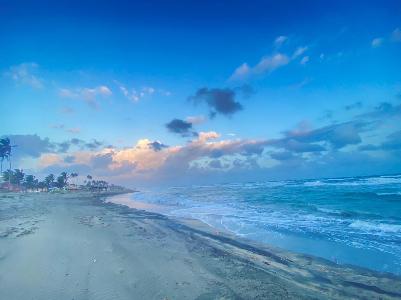 Azules de dorada