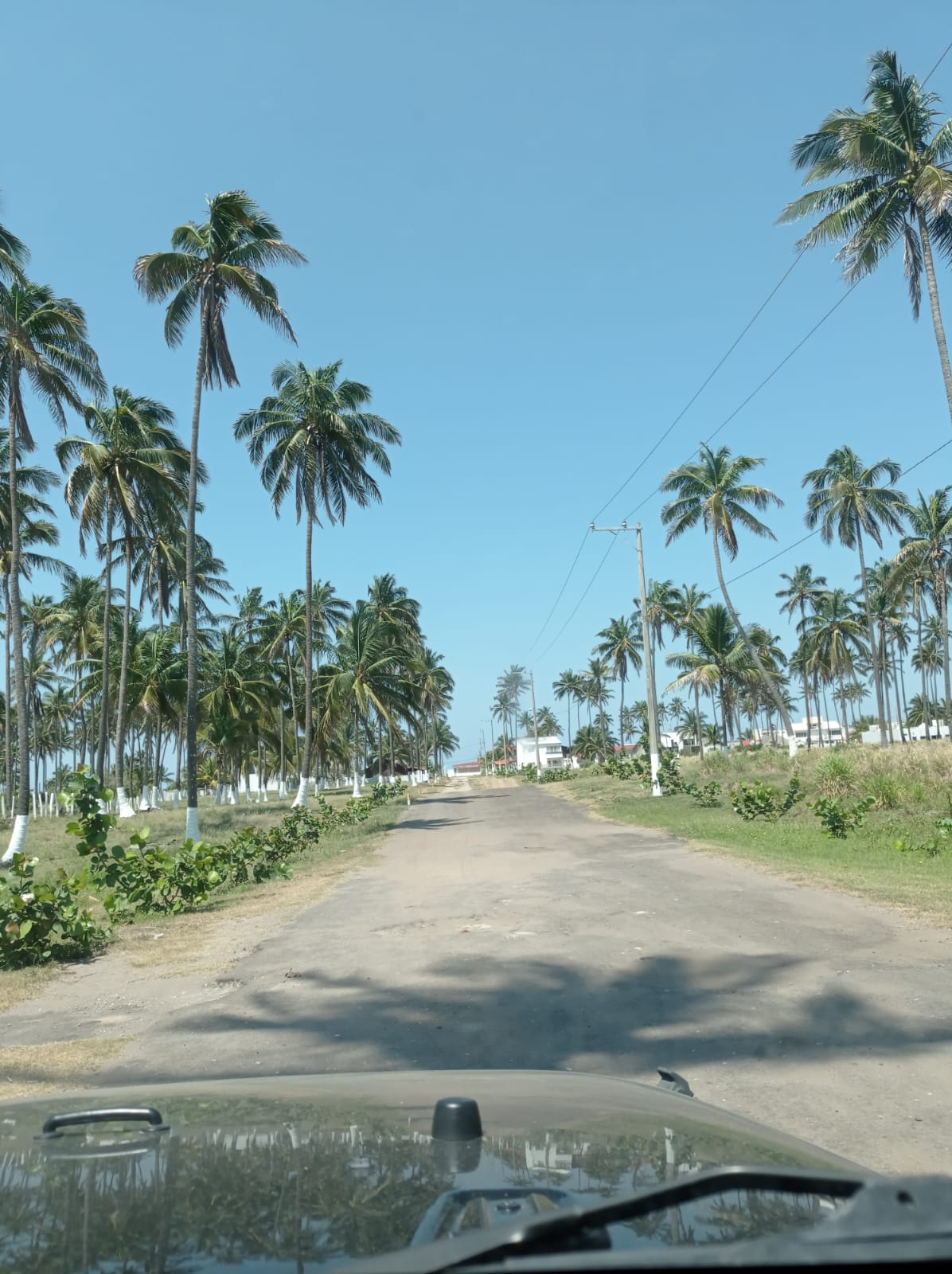 Caminos de dorada